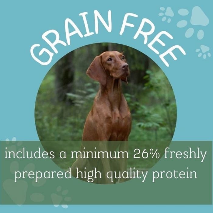 grain free